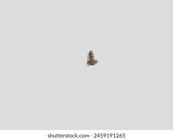 Small Short Flower Bolt Photos with white paper background