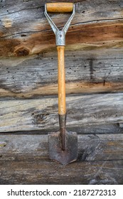 Small Shovel For Working In Ground.