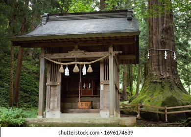 A small shrine beside a Yorishiro tree at Kawaguchi Asama Shinto Shrine, Fujikawaguchiko, Japan. Inscriptions: 賽銭 