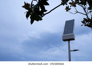Small single solar panel with tree branches in foreground and copy space