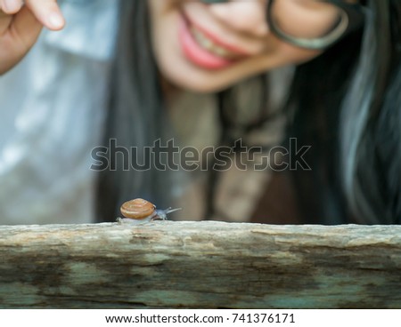 Small snail on wood, Selected focus of snail on wooden, Woman looking at snail, 
