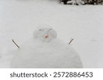 Small snowman with twig arms, orange nose, in snowy backyard.