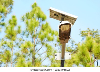 Small Solar Cells, Eco Electric Power Pole, Blurred Pine Tree Scene And Blue Sky As Background In Morning Light.