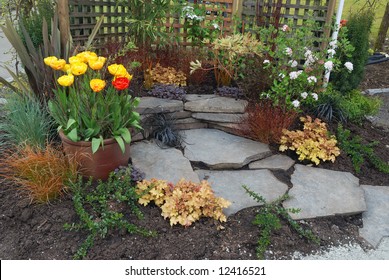 Small Space Patio Garden  Design