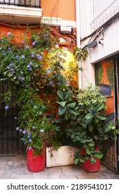 Small Spanish Outdoor Cafe With Pot Plants Design And Red Table Close Up Photo