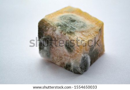 Similar – Image, Stock Photo Molds on cheese