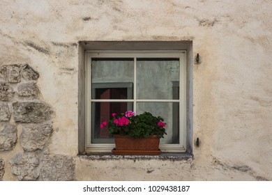 Small square window with geraniums on a dirty old wall. Venzone, Friuli, Italy