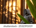 Small statue of Saint Francis looking at shadows on fence