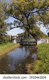 A Small Steel Bridge Over The River, In The Shade Of A Large Tree