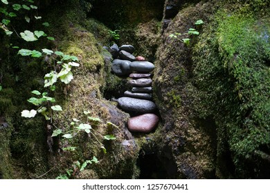 small stone in the forest
