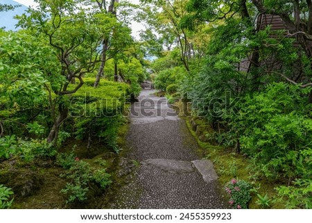 Small stone path surrounded by lush well manicured green vegetation in a Japanese garden