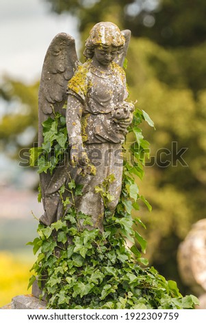 Small stone statue of an stone angel overgrown with ivy on a graveyard in Ireland. Blurry background.