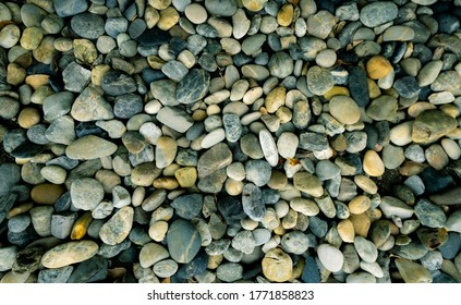 Small stone texture background. Pebble stone on the beach. River stone for garden decoration. Smooth texture gray rock with natural pattern. Top view rock ground. Pebble gravel. Building material. - Powered by Shutterstock