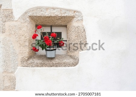 a small stone-framed window with a pot of red flowers with green leaves, on a whitewashed facade, copy space, geraniums, Pelargonium