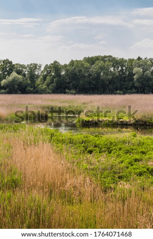 A small stream among fields