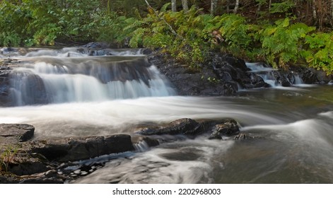 Small Stream And Cascade In A Thick Maine Forest