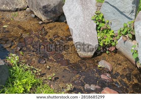A small stream flowing between rocks and greenery