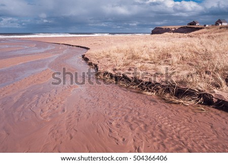 Small stream flowing into ocean