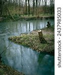 Small stream is flowing into West Hickman creek in Veterans park, Lexington, Kentucky. Tree trunk of freshly cut oak in the corner of the junction.
