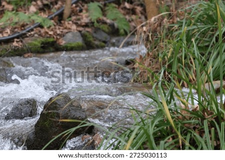 A small stream flowing over rocks surrounded by green grass. Fresh, clear water moving through nature, capturing a peaceful outdoor landscape and the beauty of a natural creek environment.