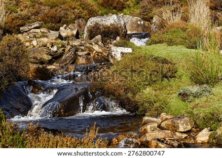 Small stream flowing over rocks and boulders through grassy terrain with low shrubs and patches of vegetation.
