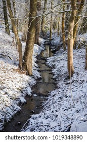 Small stream flowing through the snow covered forest in between trees, illuminated by the morning sun in winter