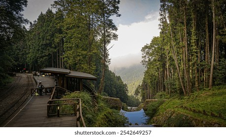 A small stream flows alongside the historic Alishan Forest Railway track, amidst towering cypress trees in the serene Alishan National Forest Recreation Area, Chiayi, Taiwan. - Powered by Shutterstock