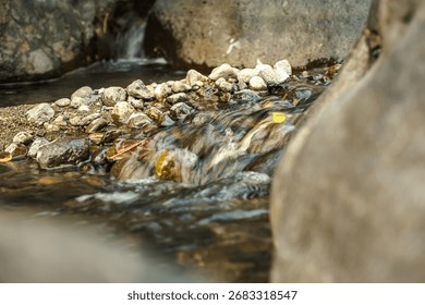 Small stream flows gently over rocks, clear water sparkling under the sunlight, creating a peaceful and refreshing natural scene.