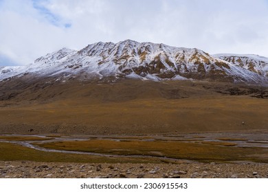 A small stream flows through the grassy fields at the foot of the mountain near Tso Kar, Thukje, Ladakh, India