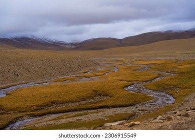 A small stream flows through the grassy fields at the foot of the mountain near Tso Kar, Thukje, Ladakh, India