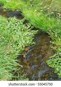 A Small Stream Flows Through a Grassy Green Field