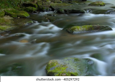 small stream in the forest