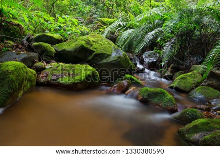 Similar – Image, Stock Photo River trough forest