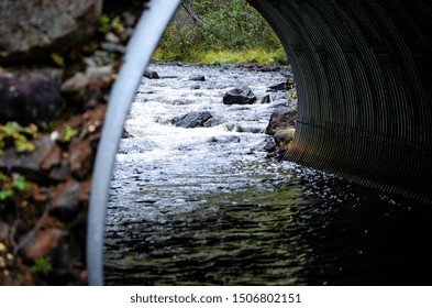 Small Stream Going Through A Culvert