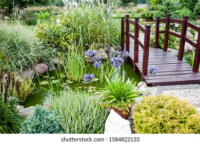 a small stream in a green garden with a wooden bridge and handrails around lush vegetation - Powered by Shutterstock