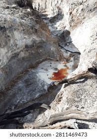 Small stream of hot volcanic spring running through a rugged, dry geothermal canyon with weathered branches