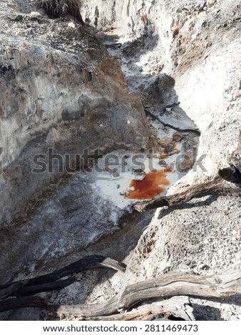 Small stream of hot volcanic spring running through a rugged, dry geothermal canyon with weathered branches