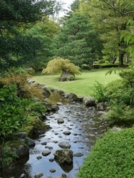 A Small Stream In A Japanese Garden