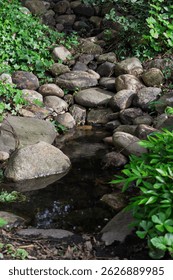 
A small stream looking like a waterfall amidst rocks and Asian-style grasses