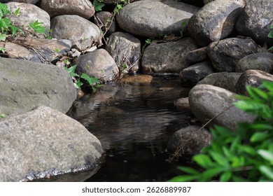 
A small stream looking like a waterfall amidst rocks and Asian-style grasses