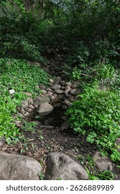 
A small stream looking like a waterfall amidst rocks and Asian-style grasses