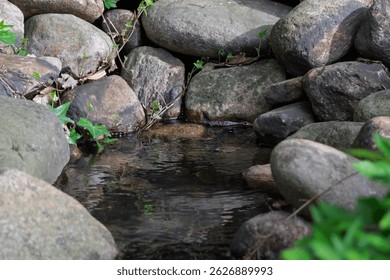 
A small stream looking like a waterfall amidst rocks and Asian-style grasses