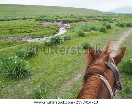 Small stream in a meadow, taken while riding a horse

Liten bekk på eng - bilde tatt fra hesteryggen