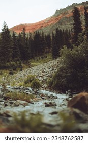 Small stream in the mountains