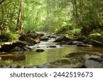 Small stream in mountains with flowing water and rocks.