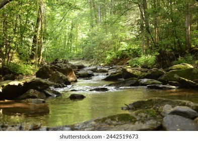 Small stream in mountains with flowing water and rocks. - Powered by Shutterstock