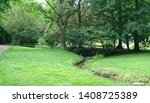 small stream in the park