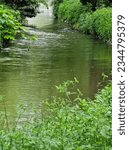 Small Stream in a Park 