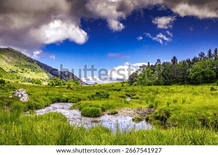 Small stream in Mijanès in the Pyrenees.
A small river winding at an altitude of 1500m through a meadow with mountains, forests, blue skies and small clouds as a backdrop, forests in the south of Fran