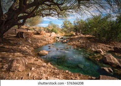 Small Stream Riparian Preserve Water Ranch Stock Photo 576366208 ...